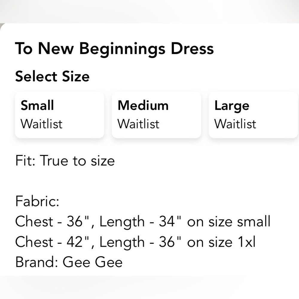 GeeGee Dress - SZ Medium - Terracotta color dress w/lining, swiss dot fabric - Picture 9 of 11